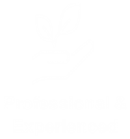 Professional and Experienced